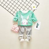 2018 New Roupa Infantil Official Store Baby Girl Girls Bunny Princess Set 0-3 Years Old Children Fall Casual Two-piece