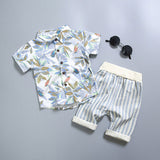 Baby Clothes Suit for Newborns Boy Cotton Clothing Set Summer Fashion Outerwear Infant Babies Boys Set Blouse+Pant Kids Costume