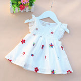 Baby Girl Dress Baby Summer Embroidery Flower Cotton Dress Baby Girl Clothes Newborn Girl Birthday Princess Dress