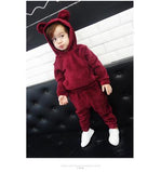 Children Clothing 2018 Autumn Winter Girls Clothes Hoodies+Pants Kids Costume Boys Clothes Sport Suit For Girls Clothing Sets