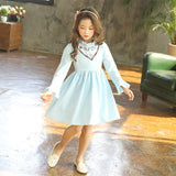 New Arrival Teens Girl Princess Dress 2018 Spring Autumn Pink/Blue Long Flare Sleeve Flower Embroidery Wedding Party Dress