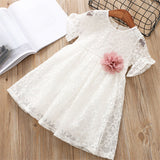 Fashion baby Girls Dress Princess Dress Appliques Floral Design for toddler kids Clothes Party lace 2-6Y Clothes
