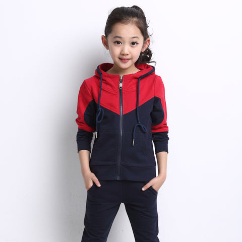 Girls Sports Sets 2017 Cotton Hoodies Suits Spring Autumn Fashion Casual Kids 2 Pieces Tracksuits Children's Girls Clothes Hot