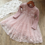 Girls lace elsa dress long sleeved dress pink gray dress costume kids teens clothes christmas fashion baby 18M06