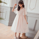 2023 Summer Mesh Kids Girls Dresses Kids Lace Dress for Girls Baby Princess Dress Stars Children Cute Dress Wedding,  #8011