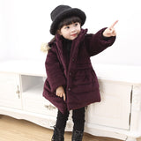 Kids Winter Jacket Girls   Hooded Thickness Kids  Coats  Manteau Fille Hiver  Winter Jacket   8WC044